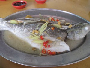 シンガ　魚